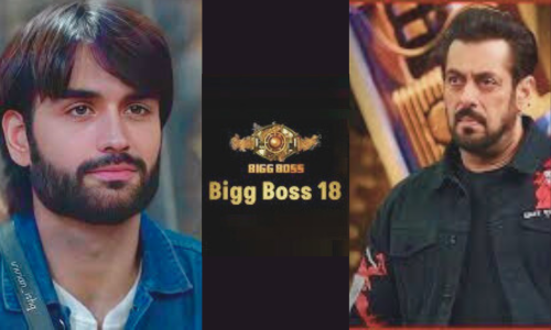 Bigg Boss Contestant Vivian Dsena